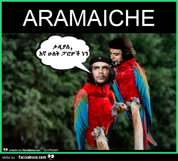 Aramaiche