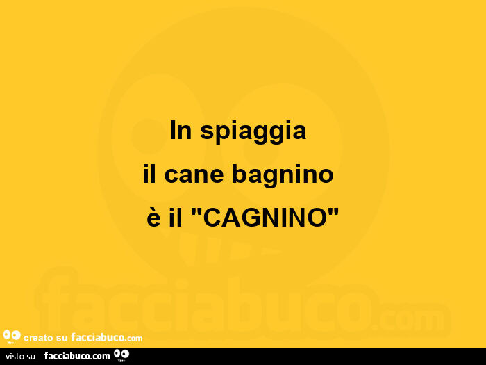 In spiaggia il cane bagnino è il cagnino