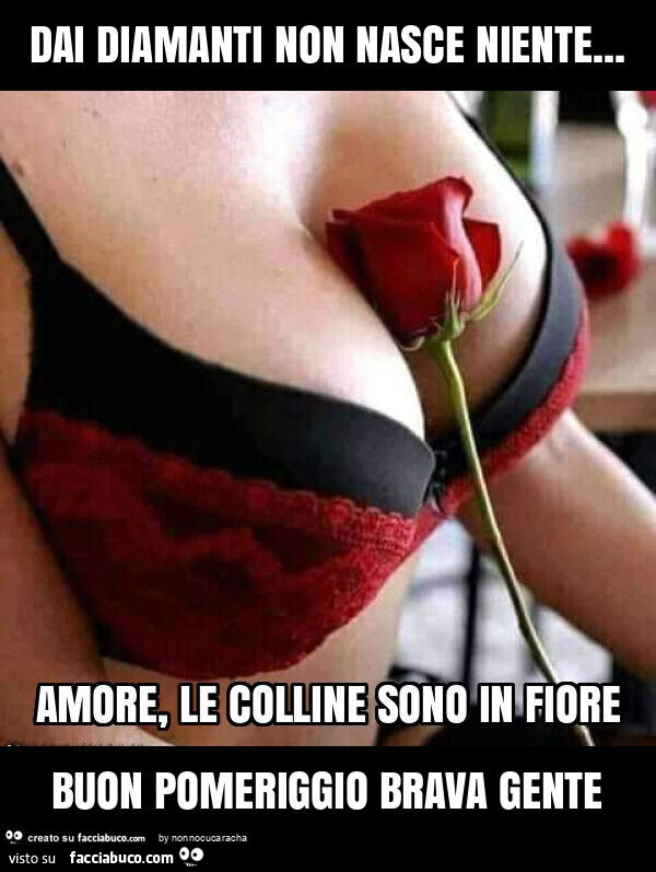 Dai diamanti non nasce niente&hellip; buon pomeriggio brava gente