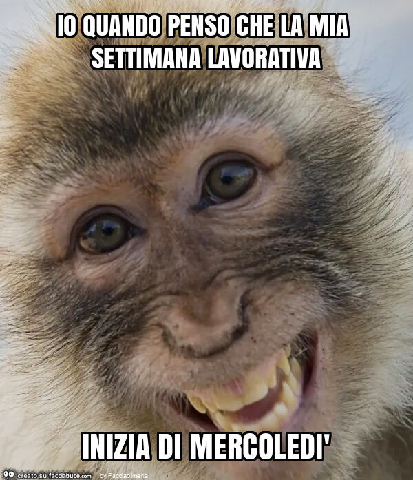 Io quando penso che la mia settimana lavorativa inizia di mercoledì