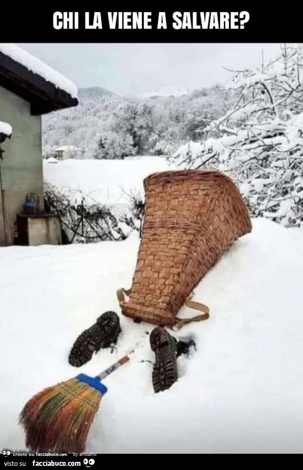 Chi la viene a salvare?