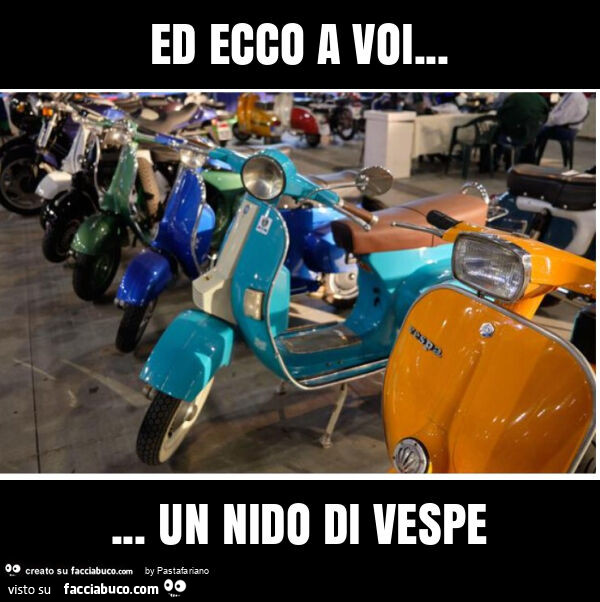 Ed ecco a voi&hellip; un nido di vespe