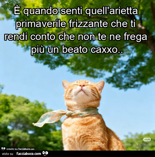 È quando senti quell'arietta primaverile frizzante che ti rendi conto che non te ne frega più un beato caxxo