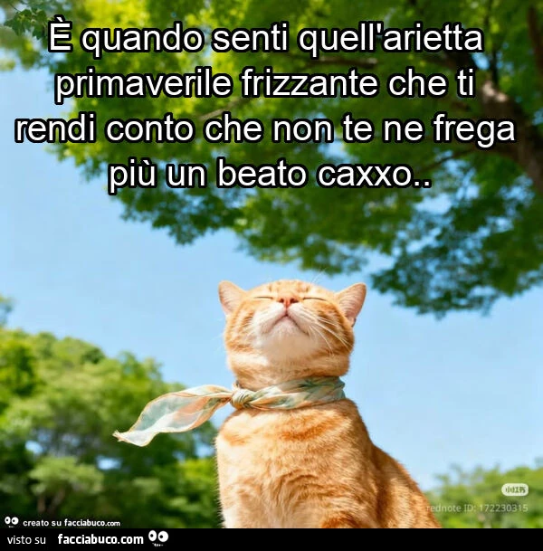 È quando senti quell'arietta primaverile frizzante che ti rendi conto che non te ne frega più un beato caxxo