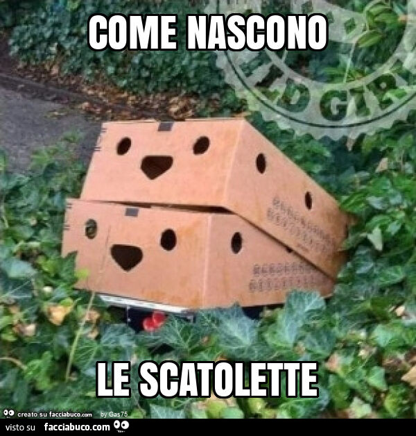 Come nascono le scatolette