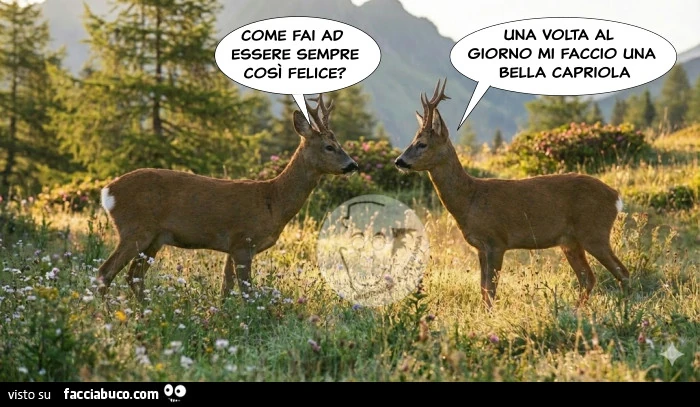 Caprioli