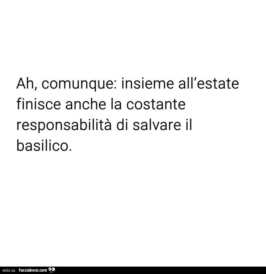 Ah, comunque: insieme all'estate finisce anche la costante responsabilità di salvare il basilico