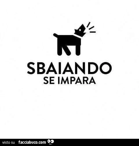 Sbaiando se impara