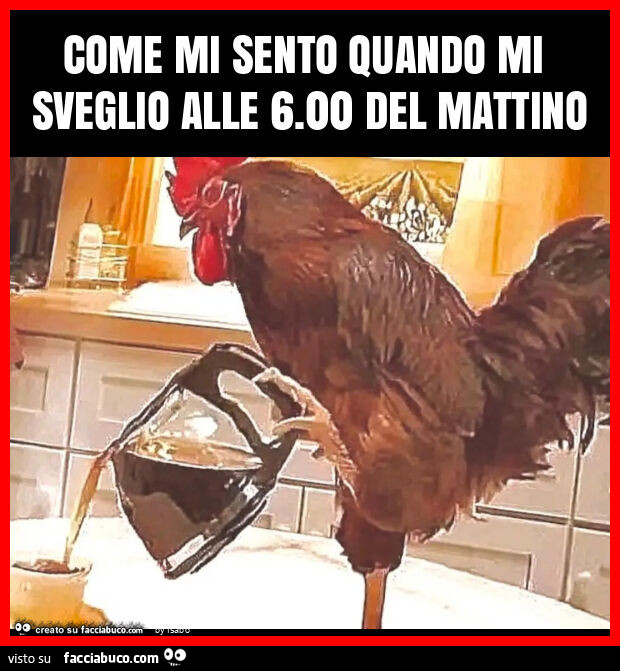 Come mi sento quando mi sveglio alle 6.00 del mattino