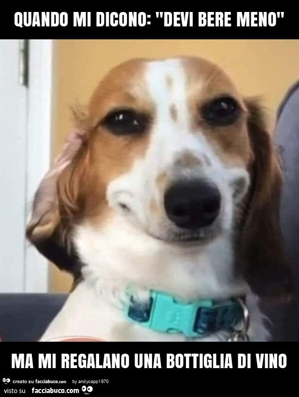 Quando mi dicono: "devi bere meno" ma mi regalano una bottiglia di vino