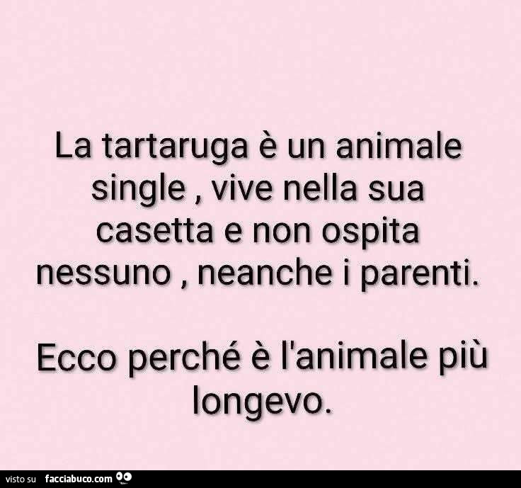 La tartaruga è un animale single vive nella sua casetta e non ospita nessuno, neanche i parenti, ecco perché è l'animale più longevo