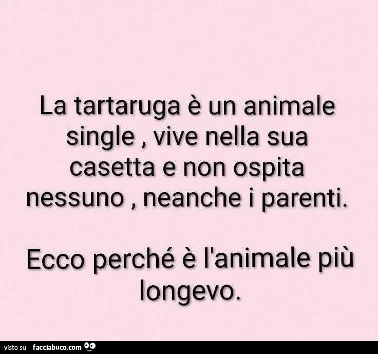 La tartaruga è un animale single vive nella sua casetta e non ospita nessuno, neanche i parenti. Ecco perché è l'animale più longevo