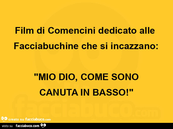Film di comencini dedicato alle facciabuchine che si incazzano: "mio dio, come sono canuta in basso! "