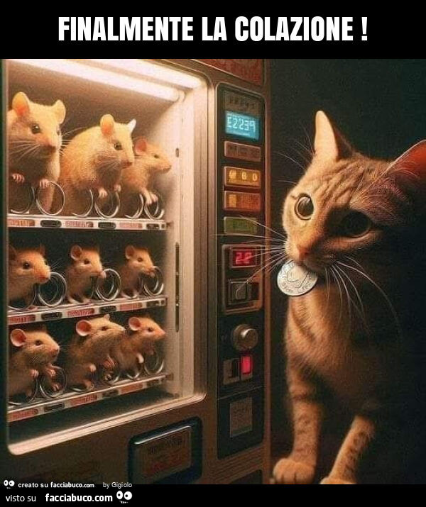 Finalmente la colazione