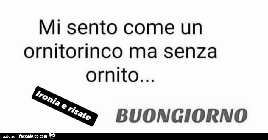Mi sento come un ornitorinco ma senza ornito