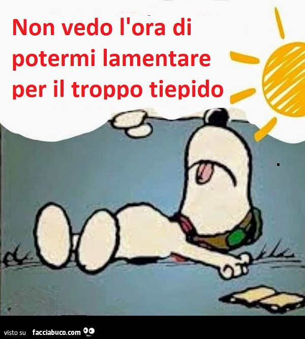 Snoopy stravolto, non sense