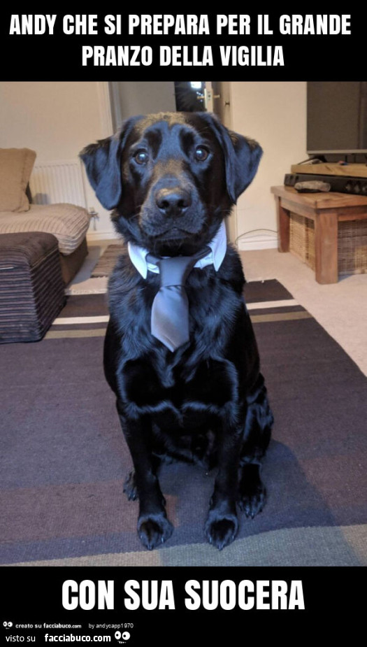 Andy che si prepara per il grande pranzo della vigilia con sua suocera