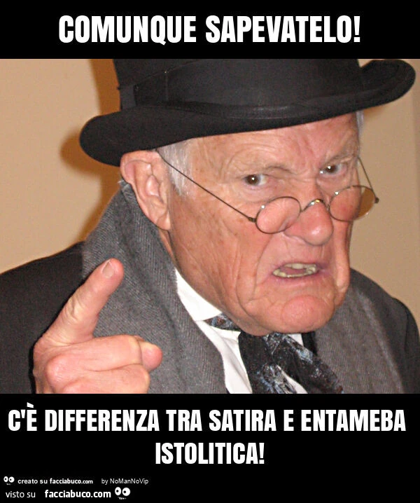 Comunque sapevatelo! C'รจ differenza tra satira e entameba istolitica