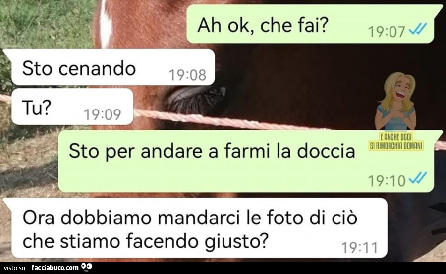 Vaccata