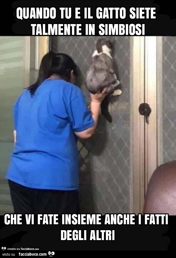 Quando tu e il gatto siete talmente in simbiosi che vi fate insieme anche i fatti degli altri