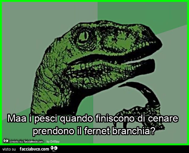 Maa i pesci quando finiscono di cenare prendono il fernet branchia?
