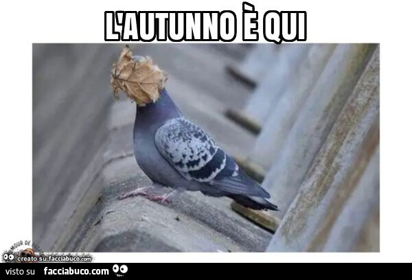 L'autunno è qui