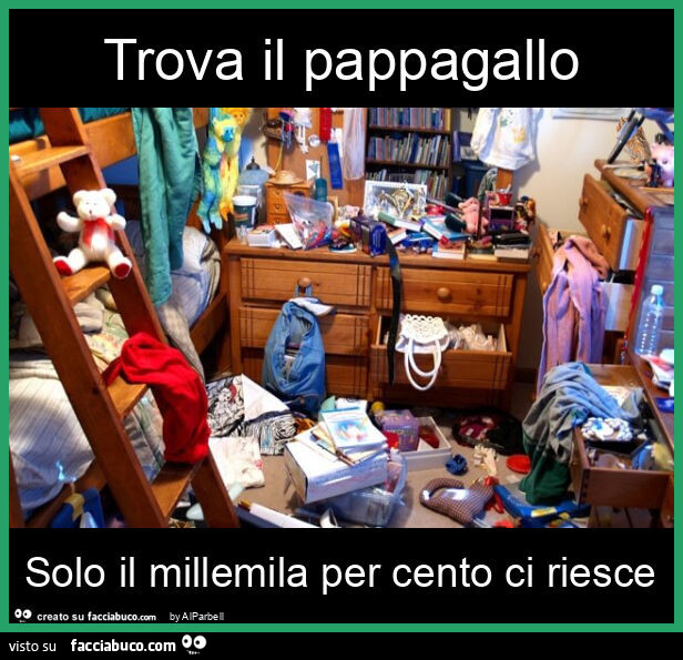 Trova il pappagallo solo il millemila per cento ci riesce