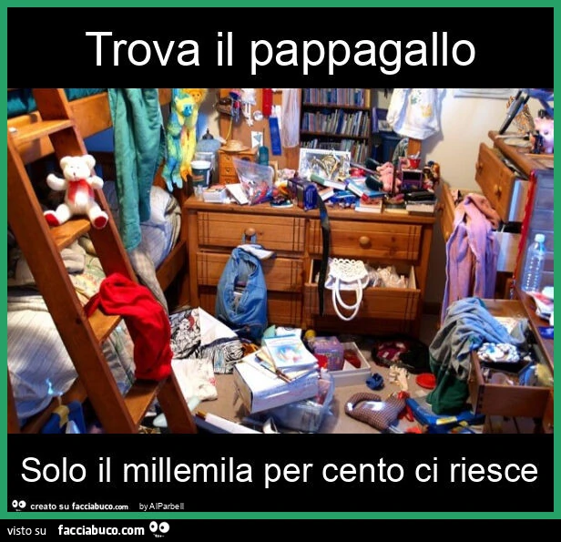 Trova il pappagallo solo il millemila per cento ci riesce