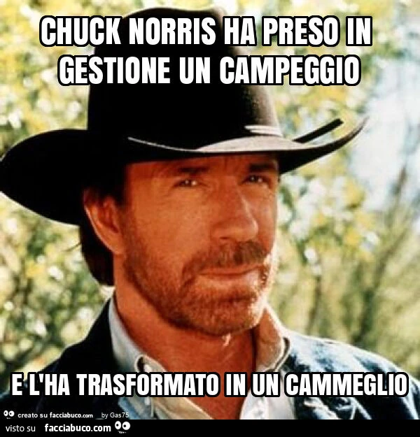 Chuck norris ha preso in gestione un campeggio e l'ha trasformato in un cammeglio