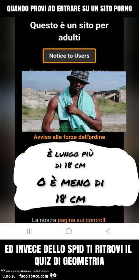 Quando provi ad entrare su un sito porno ed invece dello spid ti ritrovi il quiz di geometria