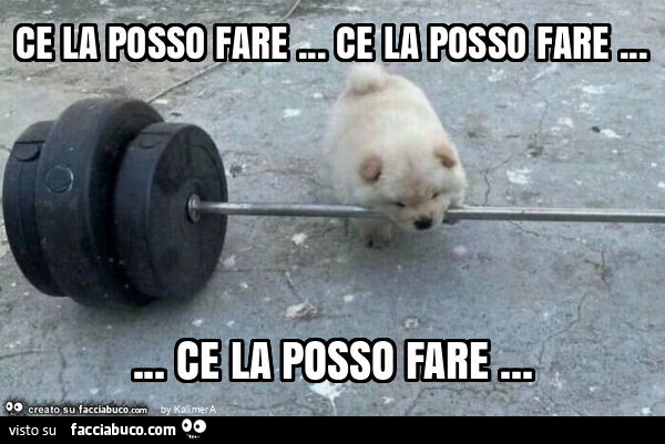 Ce la posso fare&hellip; ce la posso fare&hellip; ce la posso fare