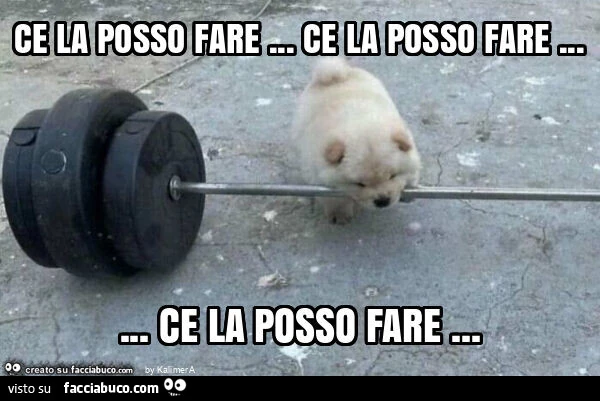 Ce la posso fare&hellip; ce la posso fare&hellip; ce la posso fare