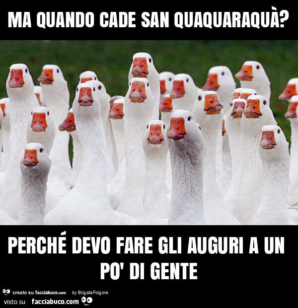 Ma quando cade san quaquaraquà? Perché devo fare gli auguri a un po' di gente