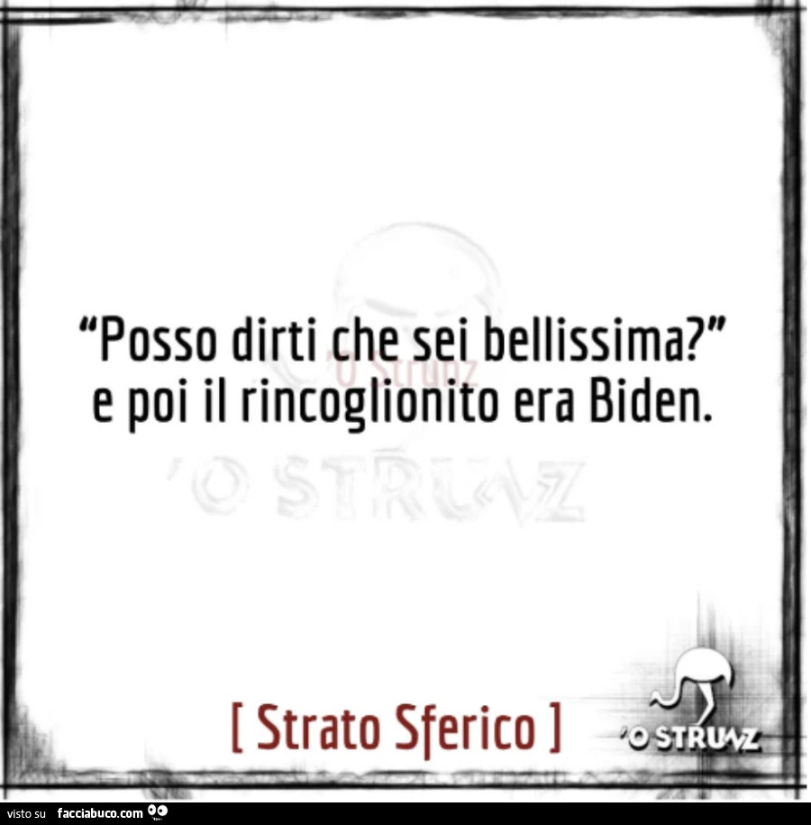 Posso dirti che sei bellissima? E poi il rincoglionito era biden